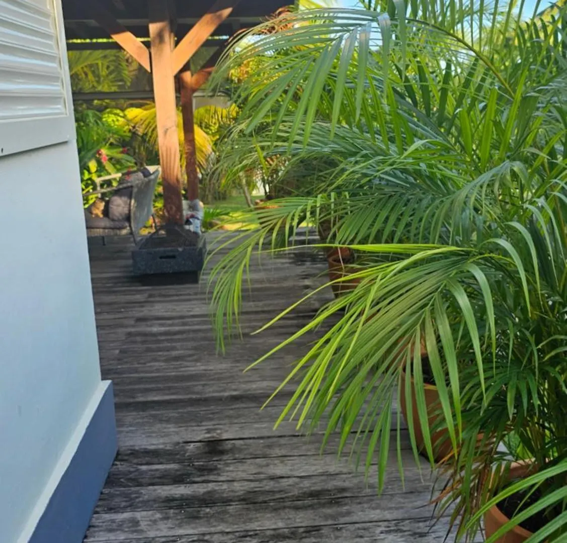 Habitation Villa Les Cassias Petit-Bourg Bed & Breakfast