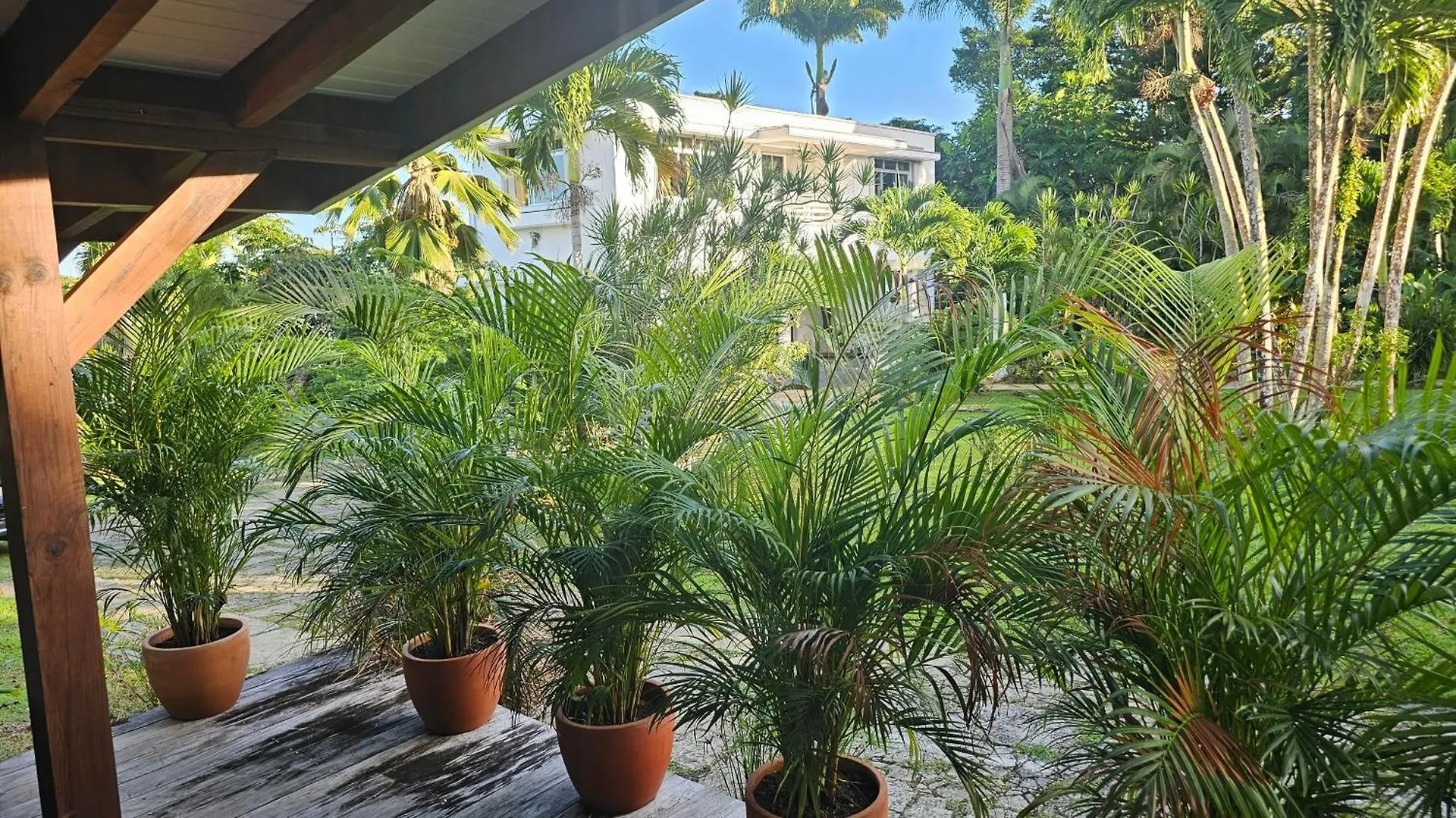 *** Bed & Breakfast Habitation Villa Les Cassias Petit-Bourg Guadeloupe
