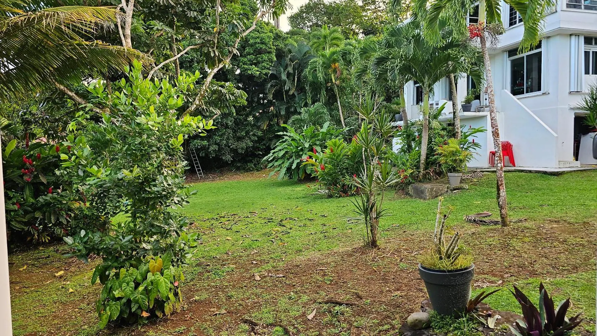 Bed & Breakfast Habitation Villa Les Cassias Petit-Bourg